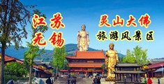 看美女逼的视频江苏无锡灵山大佛旅游风景区